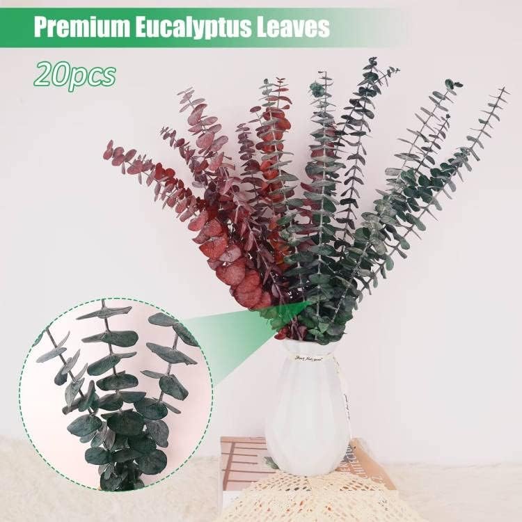 Dried Preserved Eucalyptus Stems Shower Bundle 20PCS Branches, 17" Natural Fresh Eucalyptus Plant, Real Eucalyptus Leaves Bunch for Vase Filler